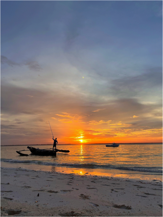 Sunset Cruise