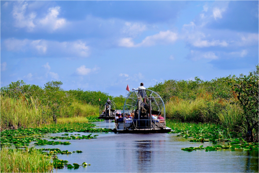 Everglades