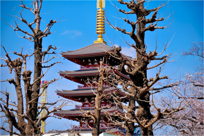 Five-Storied Pagoda