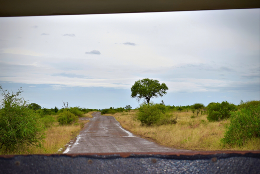 Window to Nature