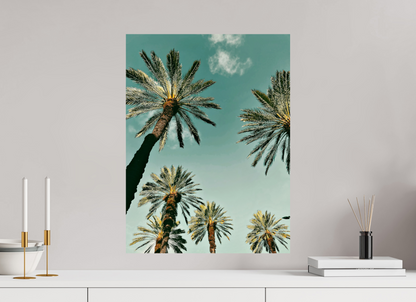 Palm Tree