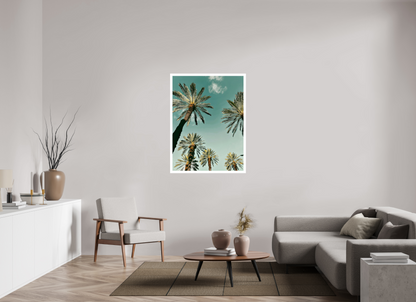 Palm Tree