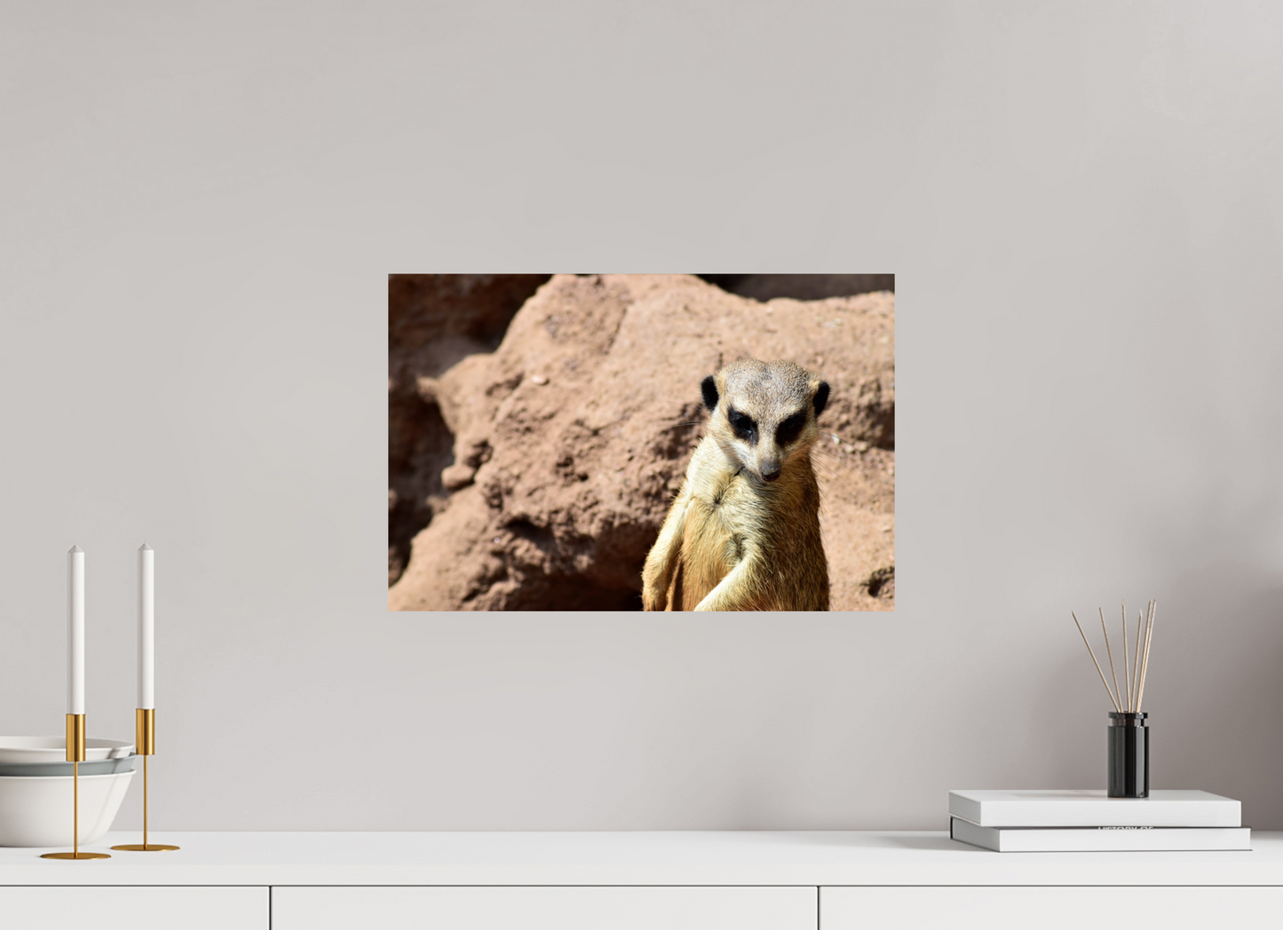 Timon
