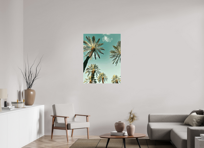 Palm Tree