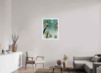 Palm Tree