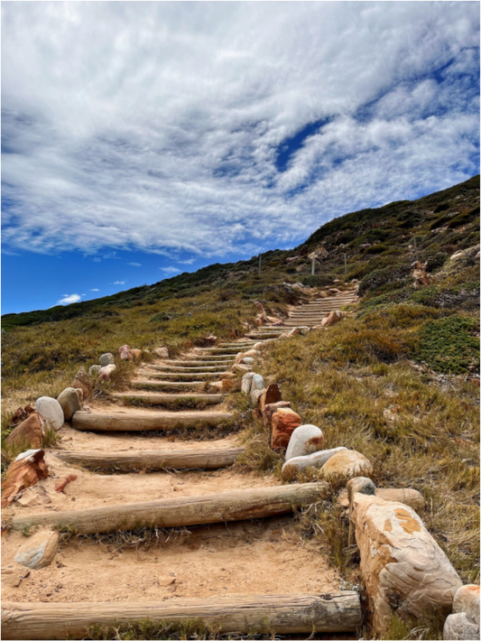 Stone Steps