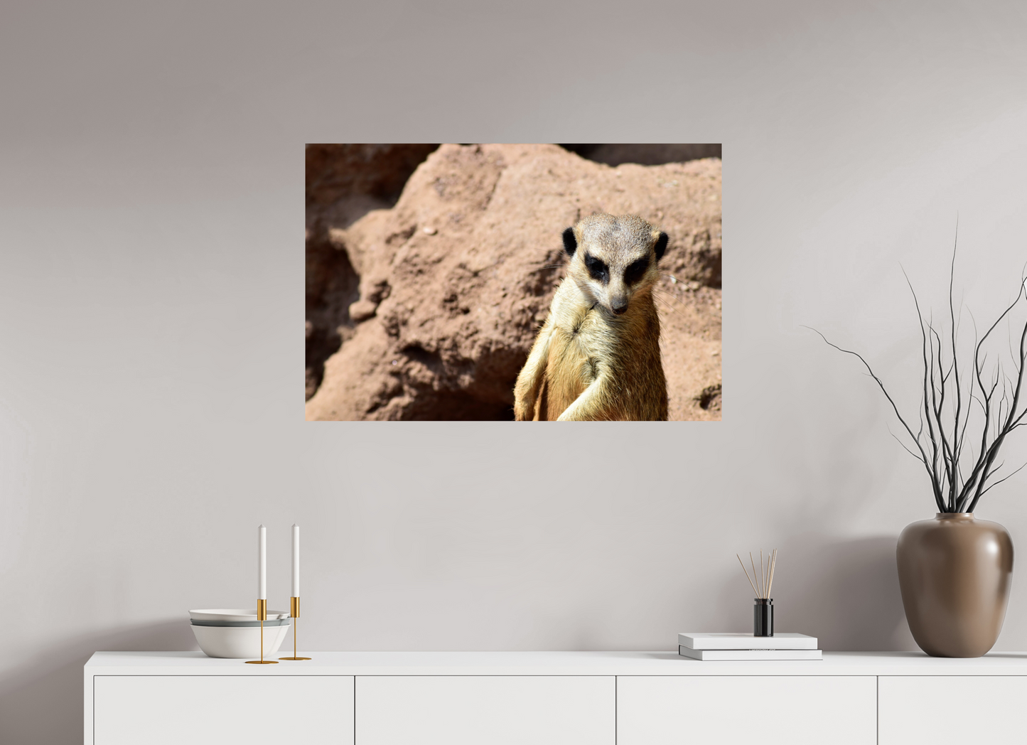 Timon