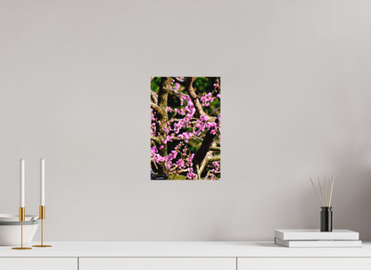 Hanami